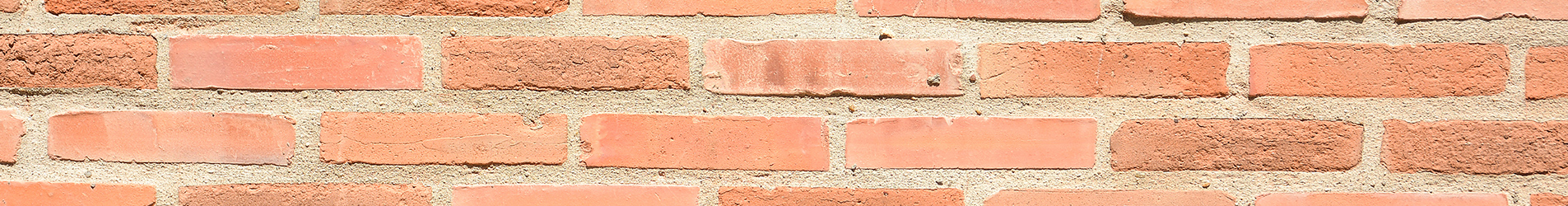 abuotus header